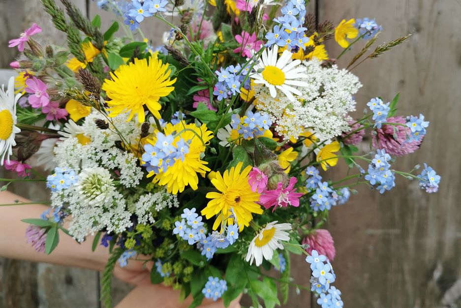 Blumen-schenken-Gutschein-Hotel