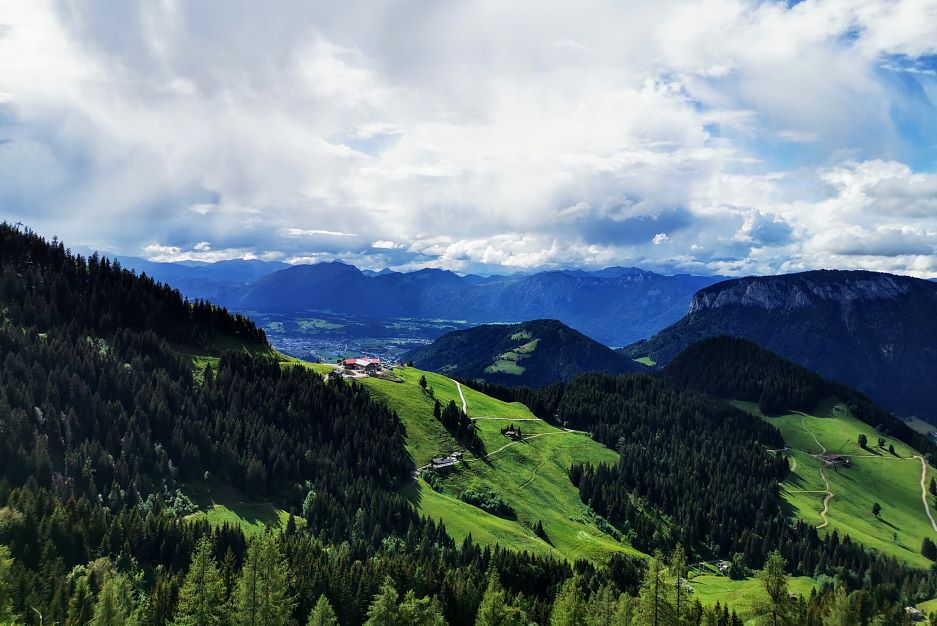 Image_Sommer_Wandern_Almwiese_Kaiserblick_Alm_21_KRAFTalm_Foto_©e.hölzl