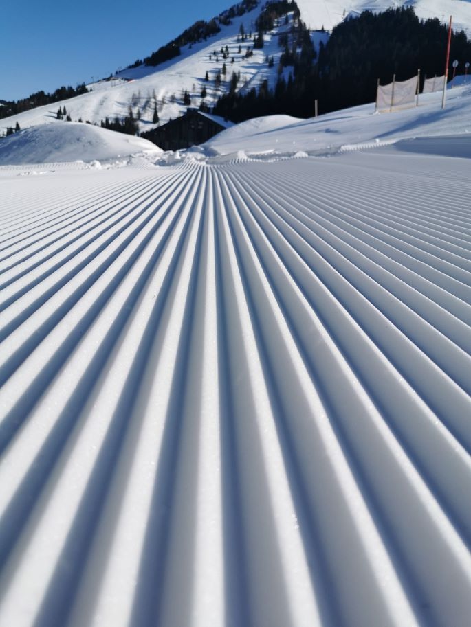On your skis, get set, go!